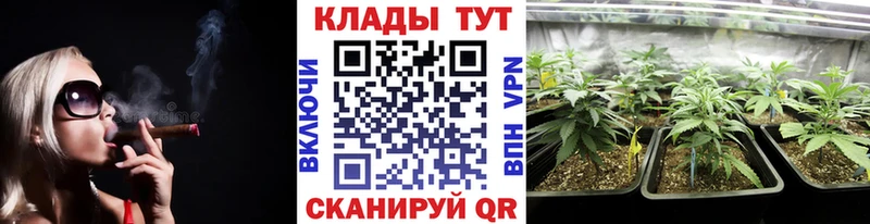 Где можно купить наркотики Кириллов ГАШИШ Каннабис MDMA Мефедрон Alpha PVP Галлюциногенные грибы