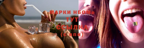 крисы Ростов