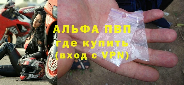 индика Рославль