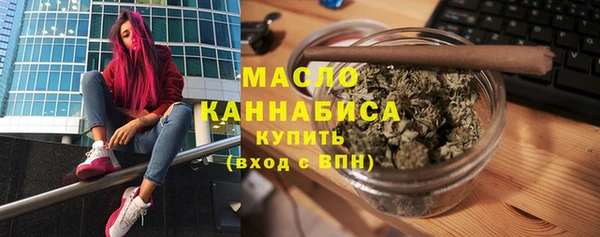 индика Рославль