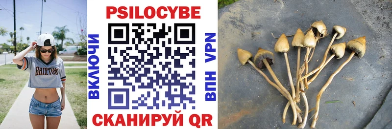 Псилоцибиновые грибы Psilocybe  Кириллов 