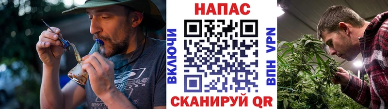Шишки марихуана Bruce Banner цены наркотик Кириллов